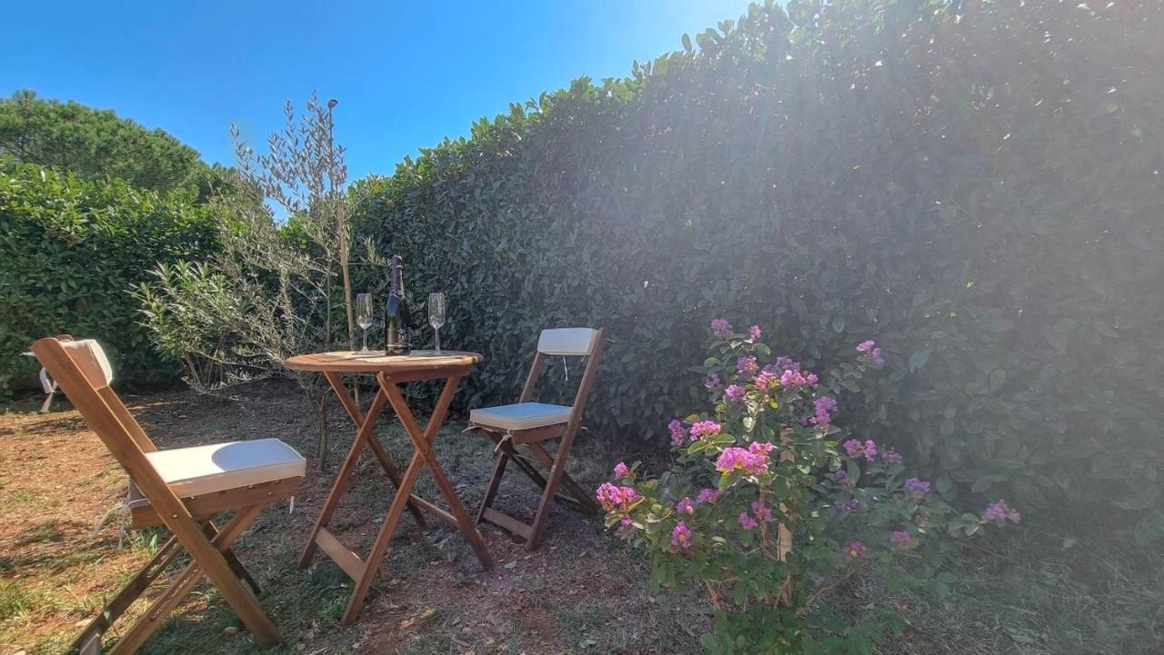 Lea Apartamento Novigrad Istria Exterior foto